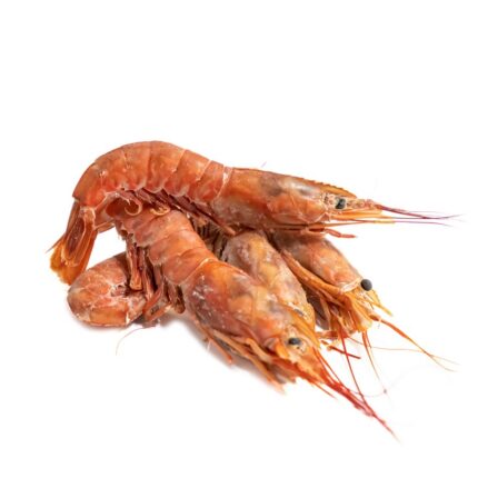 Notopoulos Katepsygmena Psaria kai thalassina