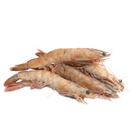 Notopoulos Katepsygmena Psaria kai thalassina