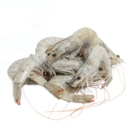 Notopoulos Katepsygmena Psaria kai thalassina