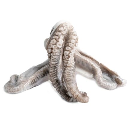 Notopoulos Katepsygmena Psaria kai thalassina