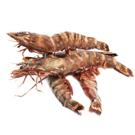 Notopoulos Katepsygmena Psaria kai thalassina