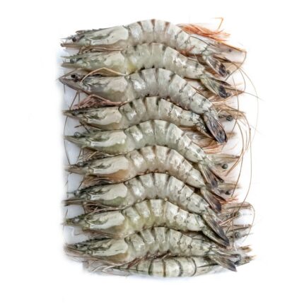 Notopoulos Katepsygmena Psaria kai thalassina