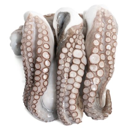 Notopoulos Katepsygmena Psaria kai thalassina