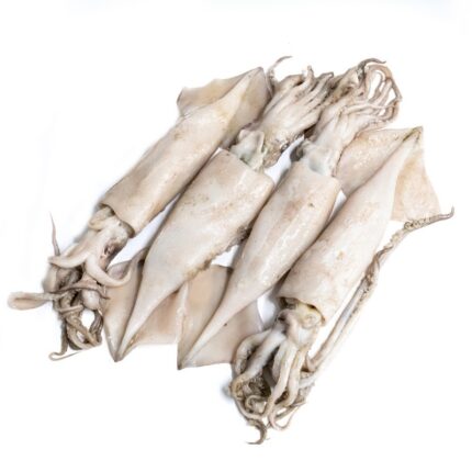 Notopoulos Katepsygmena Psaria kai thalassina