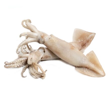 Notopoulos Katepsygmena Psaria kai thalassina