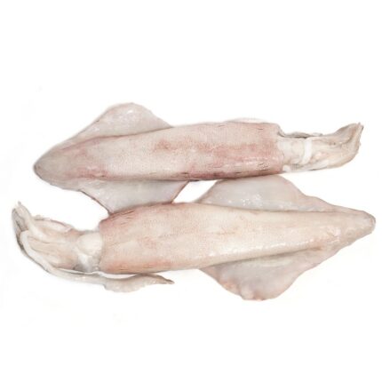 Notopoulos Katepsygmena Psaria kai thalassina