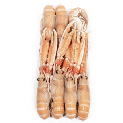 Notopoulos Katepsygmena Psaria kai thalassina