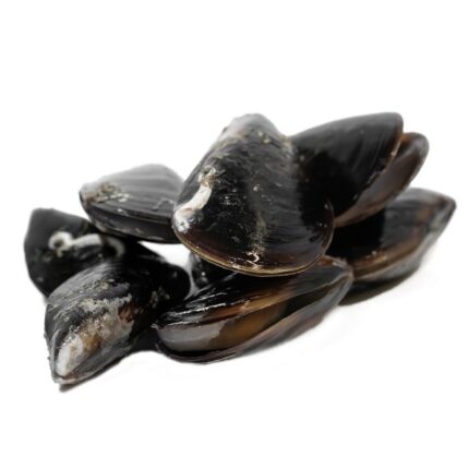 Notopoulos Katepsygmena Psaria kai thalassina