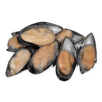 Notopoulos Katepsygmena Psaria kai thalassina