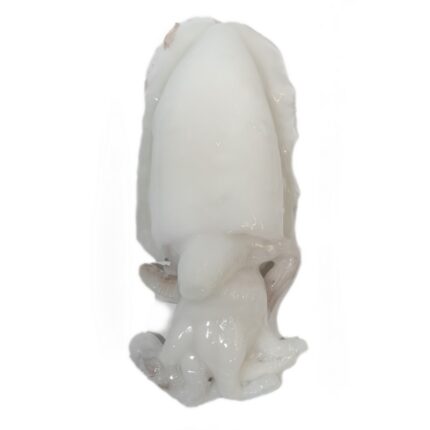 Notopoulos Katepsygmena Psaria kai thalassina