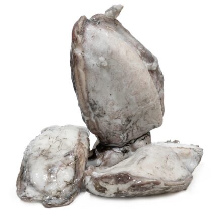 Notopoulos Katepsygmena Psaria kai thalassina