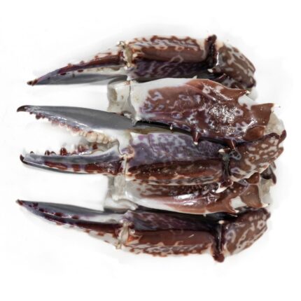 Notopoulos Katepsygmena Psaria kai thalassina