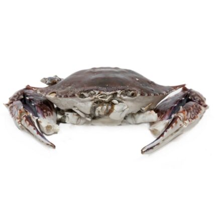 Notopoulos Katepsygmena Psaria kai thalassina