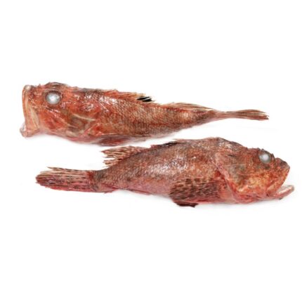 Notopoulos Katepsygmena Psaria kai thalassina