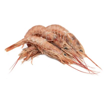 Notopoulos Katepsygmena Psaria kai thalassina