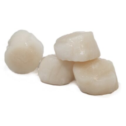 Notopoulos Katepsygmena Psaria kai thalassina