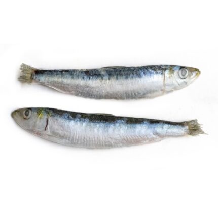 Notopoulos Katepsygmena Psaria kai thalassina