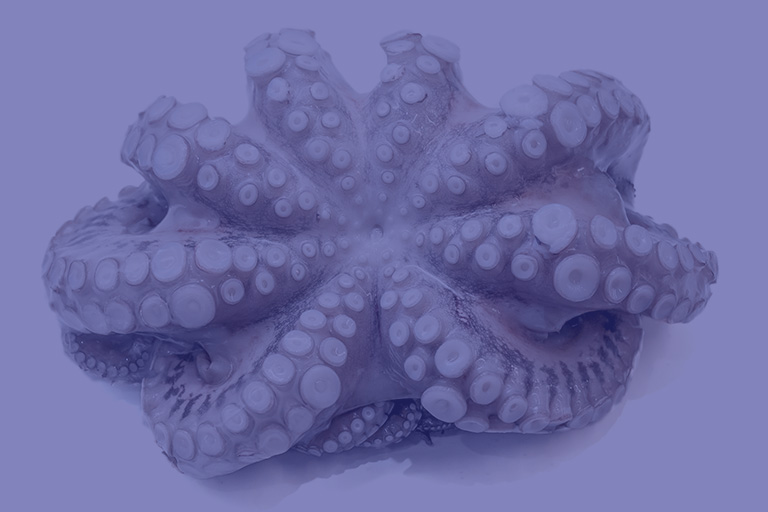 Notopoulos Katepsygmena Thalassina